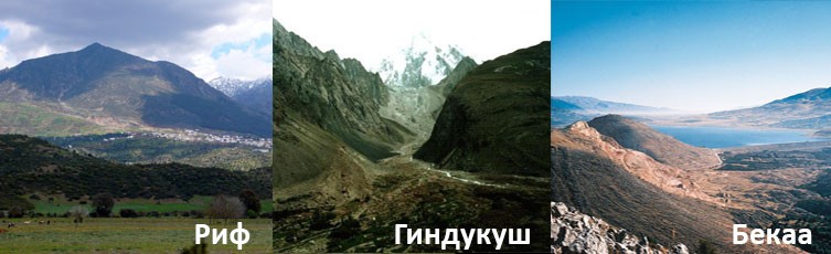 Регионы с разной высотностью, где растет конопля