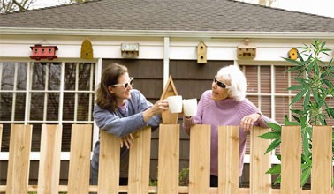 Лояльные соседи Подружитесь с соседями