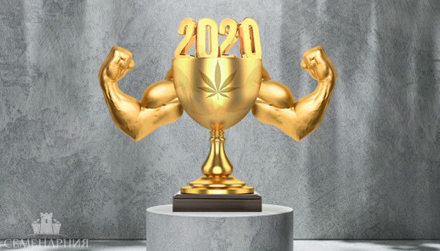 Подборка сортов марихуаны с высоким ТГК Мощные сорта