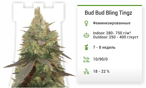 Bud Bud Bling Tingz
