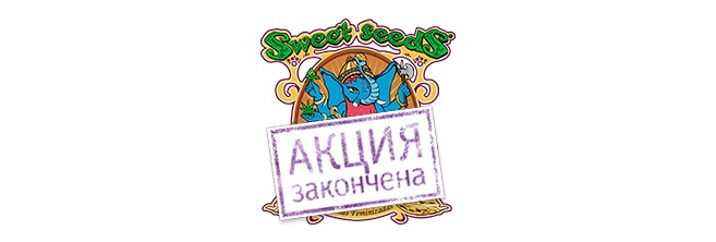 Дополнительные семена Sweet Seeds закончились Дополнительные семена Sweet Seeds закончились