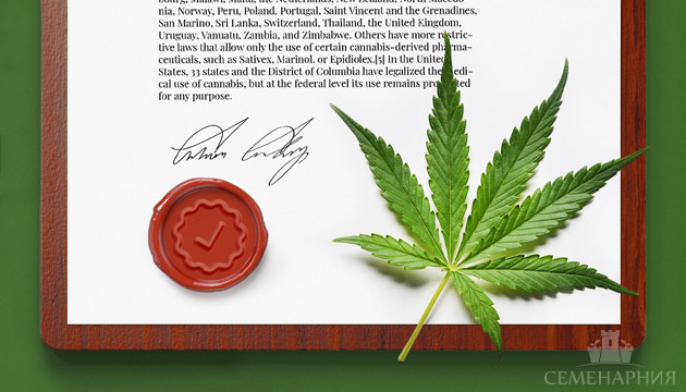 Легалайз марихуаны Мировая легализация марихуаны