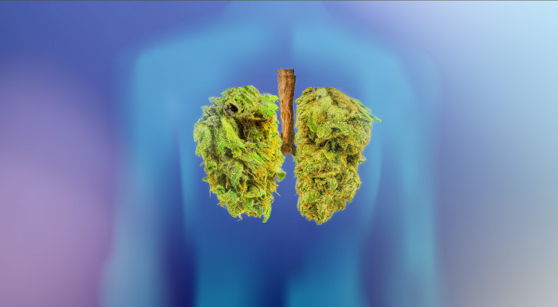 Сколько держится трава в крови eсли курил Как долго конопля остается в организме?