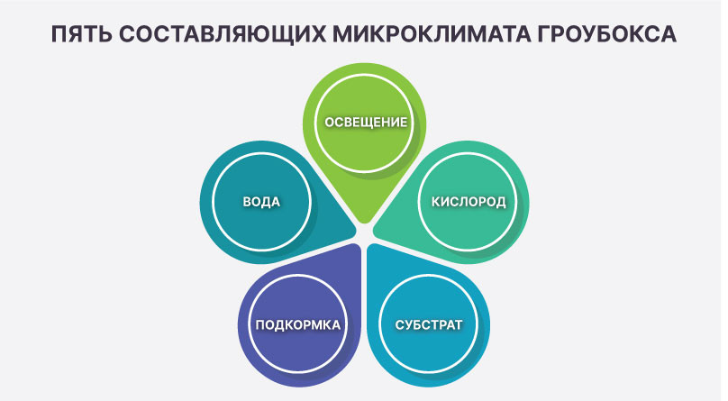Важные составляющие для комфортного роста конопли 5 составляющих микроклимата гроубокса