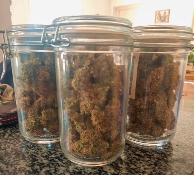 Впечатления гровера Впечатления от грова и урожая