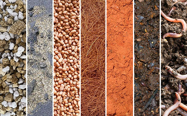 Необходимые добавки в грунт и их польза Добавки для грунта