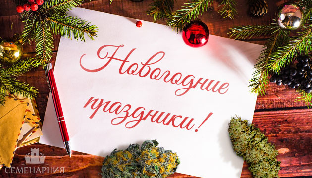 Новогодние праздники 2024