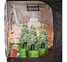 Пренебрежение стерильностью Несоблюдение чистоты