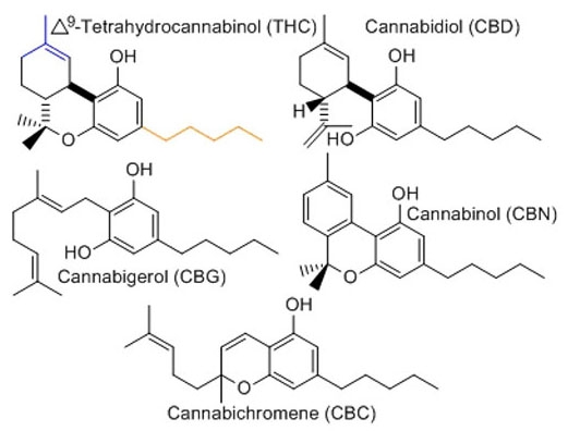 Каннабинол