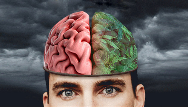 Психологическое влияние конопли