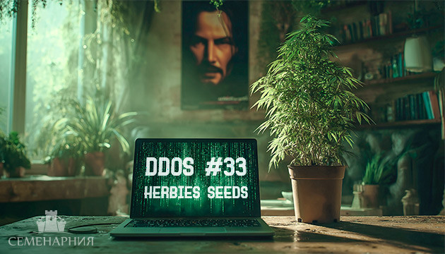 Гроурепорт сорта DDoS #33 fem