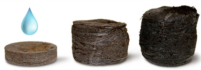 Как пользоваться торфяной таблеткой