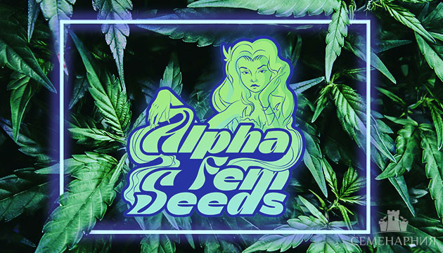 Первая коллекция сидбанка AlphaFem Seeds Семена конопли от сидбанка AlphaFem Seeds
