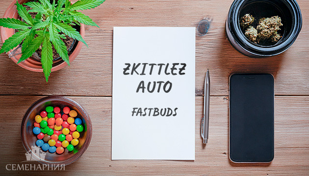 Гроурепорт сорта Zkittlez Auto