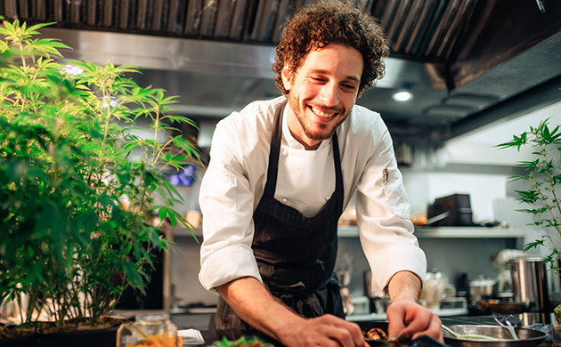 КБД в продуктах Плюсы конопляных блюд