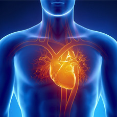 Чашечка для бонга