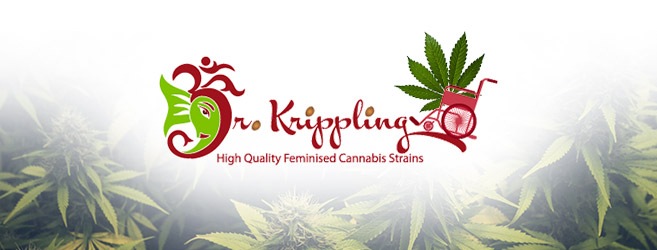 Отборная Индика от британских ученых - Dr. Krippling Seeds