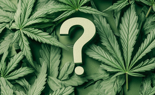 Ответы на часто задаваемые вопросы Ответы на популярные вопросы