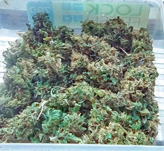 Сбор урожая и впечатления от гровера Харвест