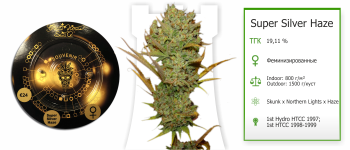 Super Silver Haze Super Silver Haze