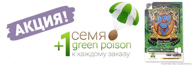 Акция! Бесплатное семя в каждом заказе! Акция! Бесплатное семя в каждом заказе!