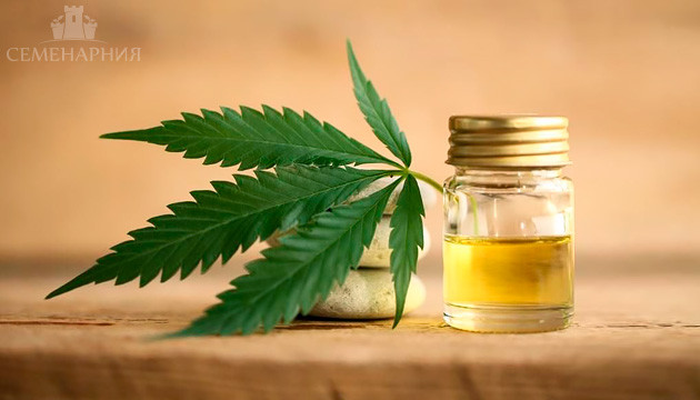 Масло из семян каннабиса Масло из семян конопли