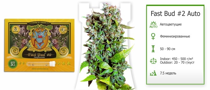 Fast Bud #2 Auto Fast Bud #2 Auto
