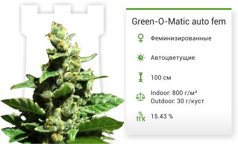 Green-O-Matic auto fem