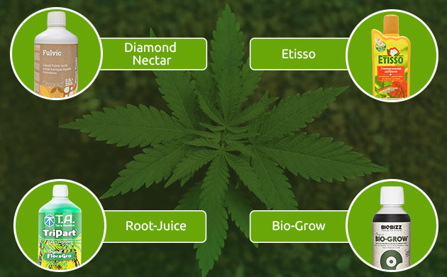 Удобрения на стадии вегетации Удобрения, оптимальные на стадии вегетативного роста