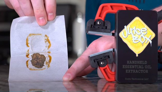 Экстракт конопли похож на мёд