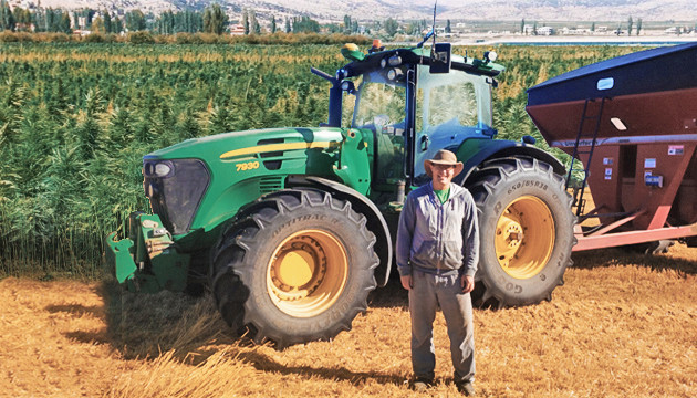 Техническая конопля