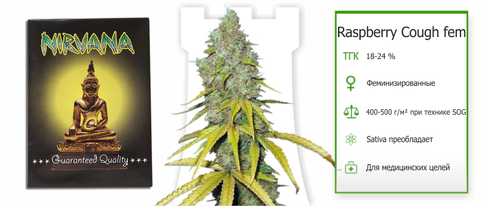 Raspberry Cough fem Raspberry Cough fem