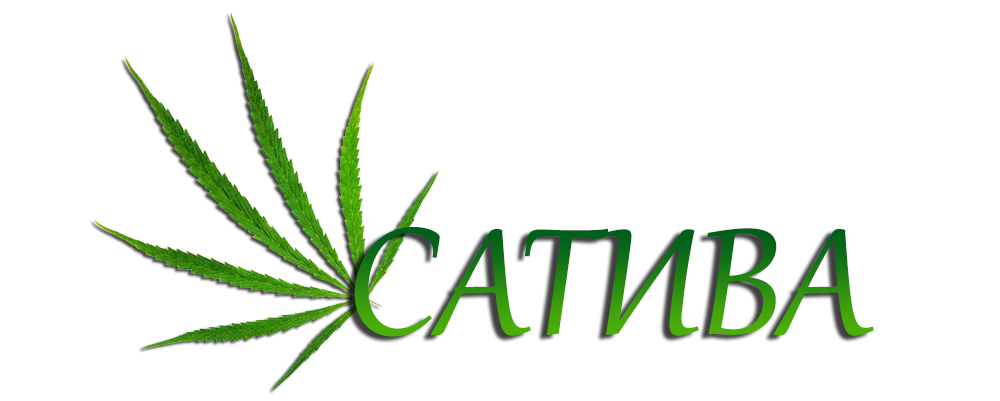 Сатива sativa