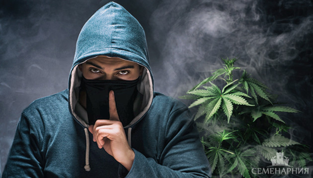 Меры предосторожности при выращивании марихуаны Безопасность гровера
