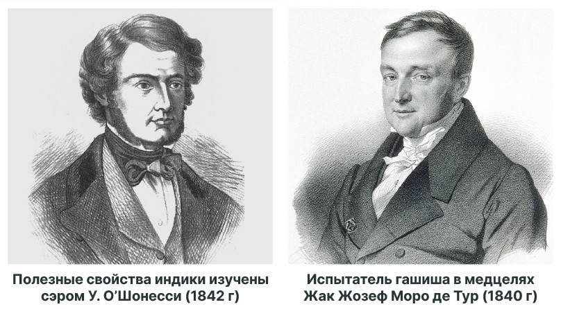 Каннабис в Европе: от религиозного запрета к медицинскому потенциалу