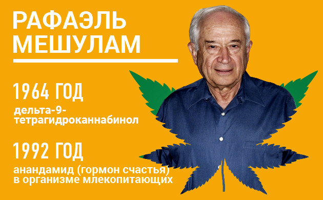 История открытия ТГК Рафаэль Мешулам