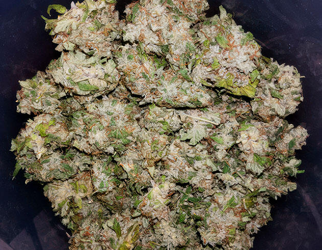 Сбор урожая, сушка и пролечка Харвест Auto White Widow
