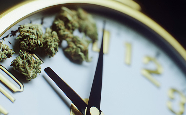 Какой выбрать световой режим для автоцвета Световые режимы