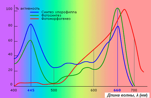 Световой спектр для конопли Световой режим для фотопериодной конопли
