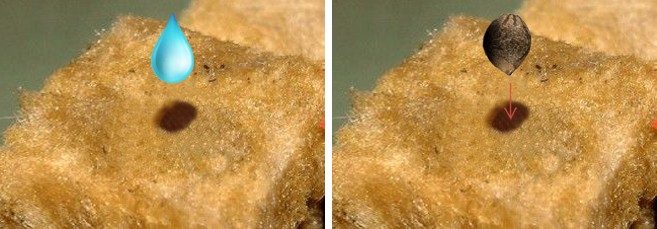 Как пользоваться минеральной ватой