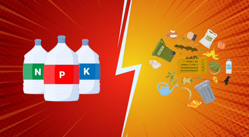 Минералка или органика – что лучше для индора