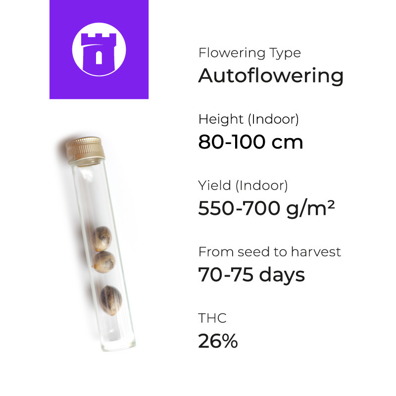 Gorilla Auto характеристики Gorilla Auto мощность и урожайность