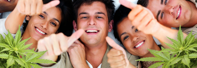 Как выполнить суперкроппинг марихуаны