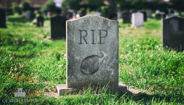 Как выбрать гроубокс Семечко марихуаны умерло