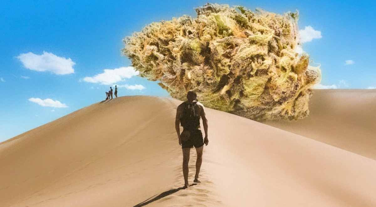 Новости из Марокко Марихуана в Морокко