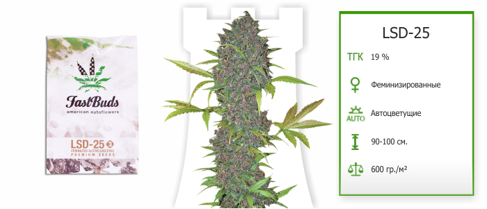 Семена Марихуаны LSD-25