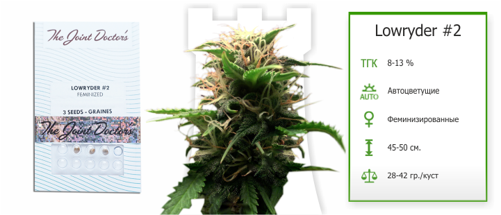 сорт Lowryder 2 семена Lowryder #2