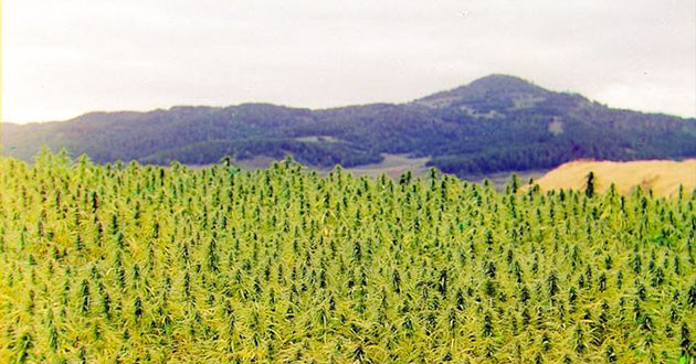 Популярность Чуйской долины