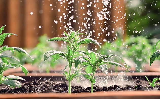 Продвинутые и базовые удобрения Базовые и продвинутые удобрения