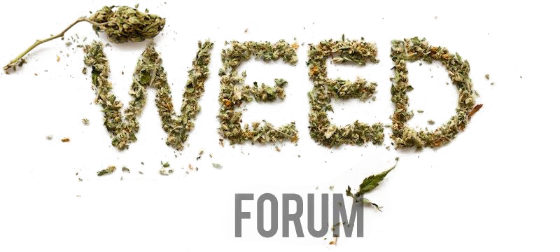 weed forum